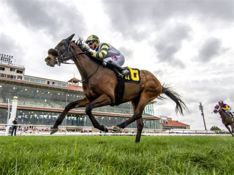2022 Preakness Stakes (G1) *Rating is based on HRN. . Brisnet sires past performances